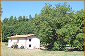 Amatrice - Villaggio lo Scoiattolo